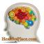 Abnormalitas Sirkuit Otak Halus Dikonfirmasi dalam ADHD