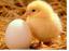 Kesehatan Mental: Ayam dan Telur