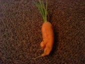 crazycarrot