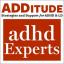 Dengarkan "Kalahkan Gangguan: Bagaimana Orang Dewasa dengan ADHD Dapat Meningkatkan Produktivitas" dengan Geraldine Markel, Ph. D.