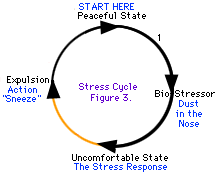Beberapa siklus stres lebih mudah untuk dilalui daripada yang lain.