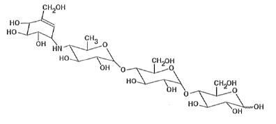 Struktur kimia Acarbose