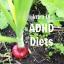 ADHD dan Diet Dewasa